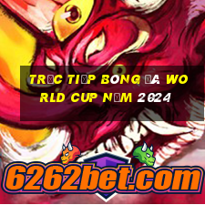 trực tiếp bóng đá world cup năm 2024