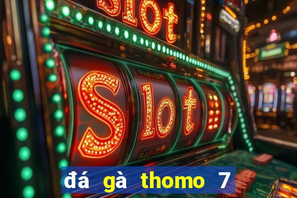 đá gà thomo 7 8 2019