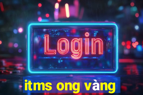 itms ong vàng