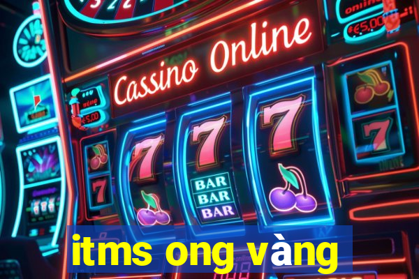 itms ong vàng