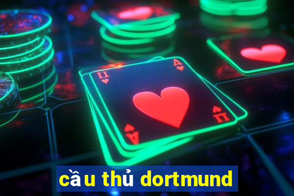 cầu thủ dortmund