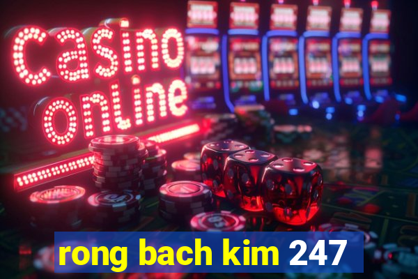 rong bach kim 247