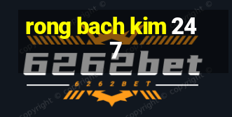 rong bach kim 247