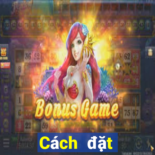 Cách đặt cược XSNT ngày 3