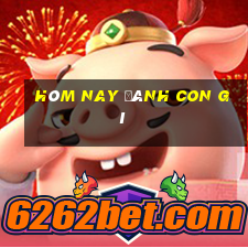 hôm nay đánh con gì