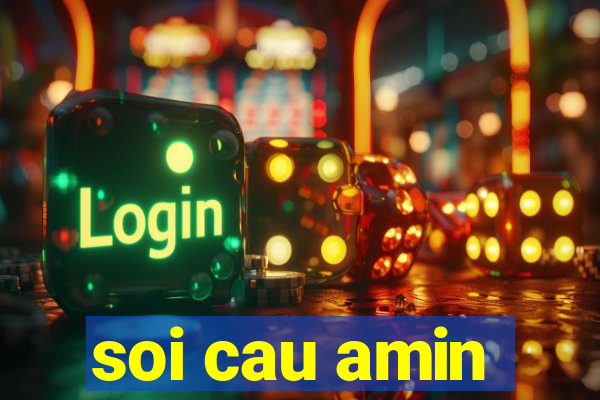 soi cau amin