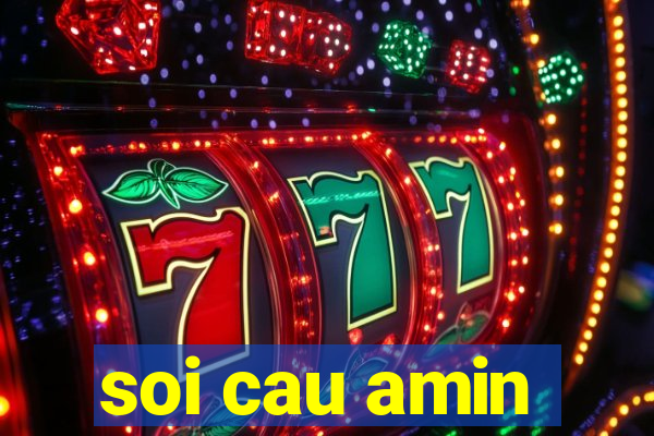 soi cau amin