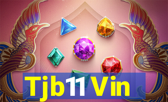 Tjb11 Vin