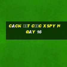 Cách đặt cược XSPY ngày 16