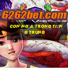 con ngựa trong tiếng trung