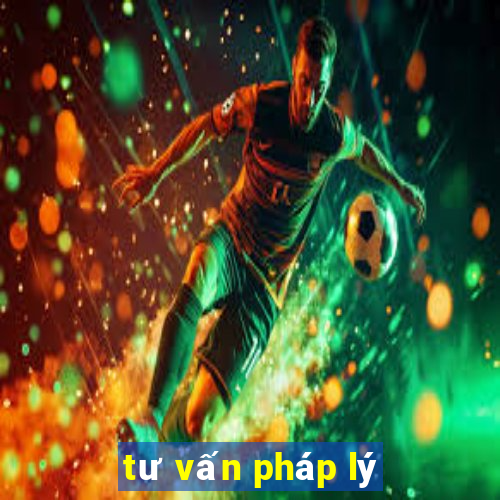 tư vấn pháp lý