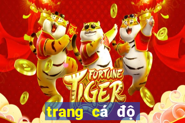 trang cá độ bóng đá ben88