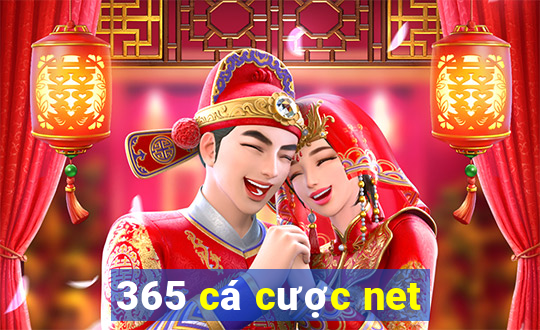 365 cá cược net