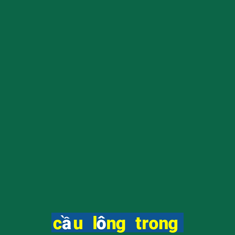 cầu lông trong tiếng anh là gì