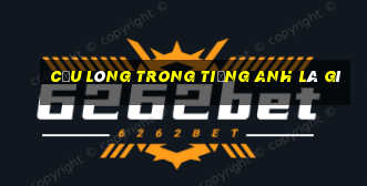 cầu lông trong tiếng anh là gì