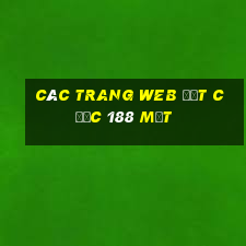 Các trang web đặt cược 188 mặt