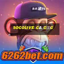 socolive cá cược