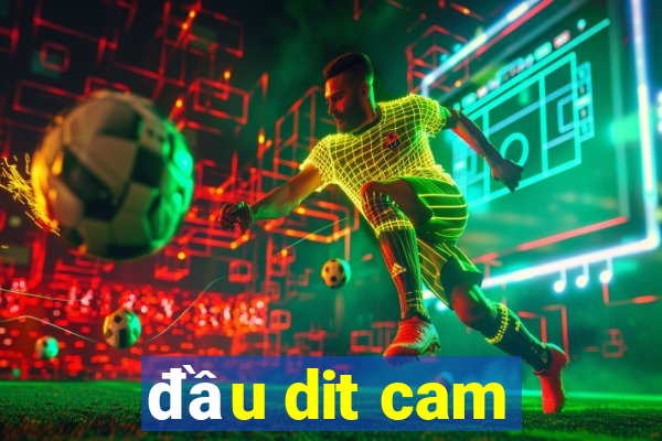 đầu dit cam