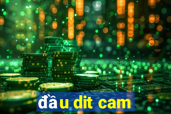 đầu dit cam