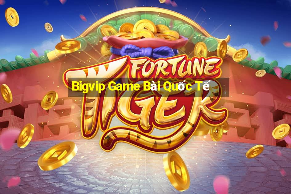 Bigvip Game Bài Quốc Tế