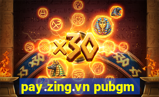 pay.zing.vn pubgm