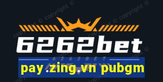 pay.zing.vn pubgm