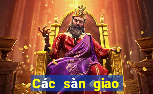 Các sàn giao dịch lừa đảo