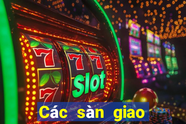 Các sàn giao dịch lừa đảo