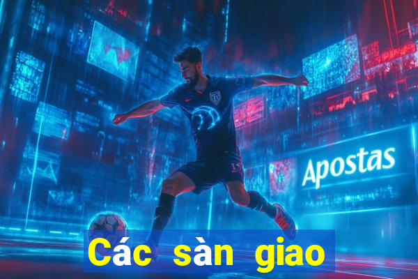 Các sàn giao dịch lừa đảo