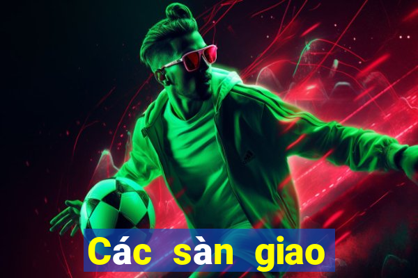 Các sàn giao dịch lừa đảo