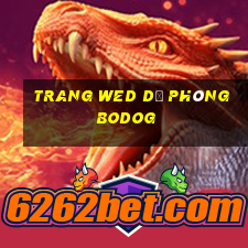 trang wed dự phòng bodOG