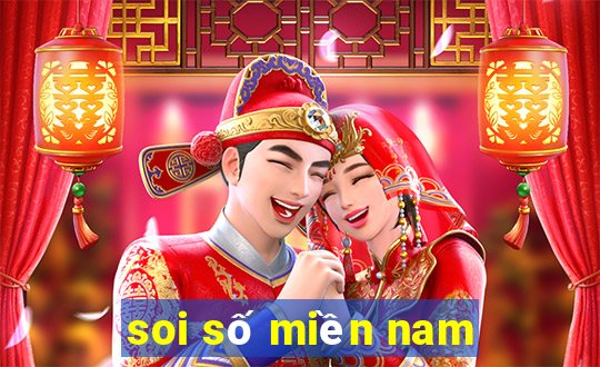 soi số miền nam