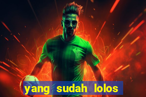 yang sudah lolos euro 2024