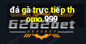 đá gà trực tiếp thomo 999