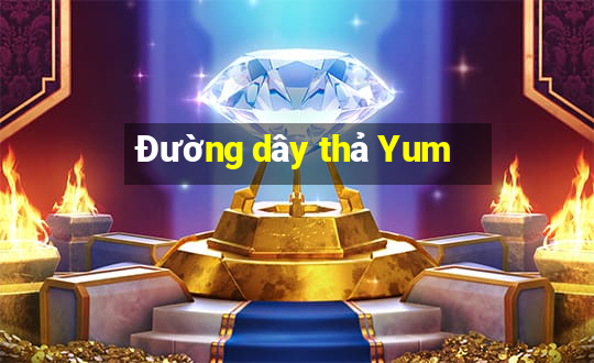 Đường dây thả Yum