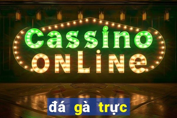 đá gà trực tuyến casino