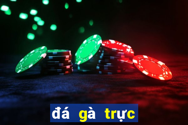 đá gà trực tuyến casino