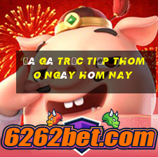 đá gà trực tiếp thomo ngày hôm nay