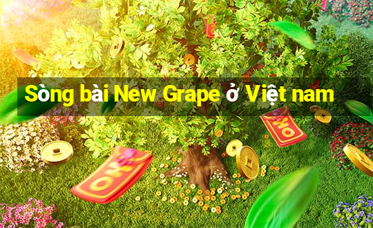 Sòng bài New Grape ở Việt nam