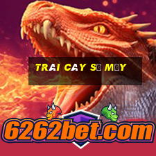 trái cây số mấy