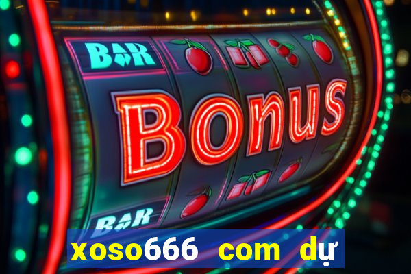 xoso666 com dự đoán xsmb