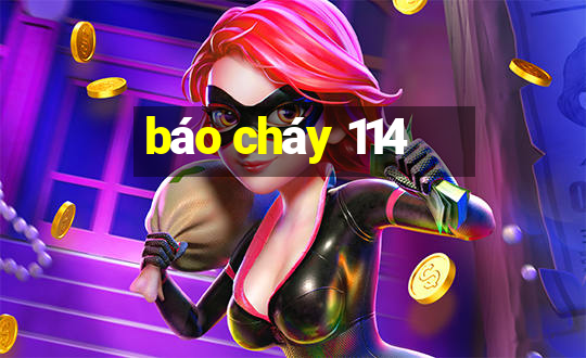 báo cháy 114