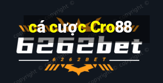 cá cược Cro88