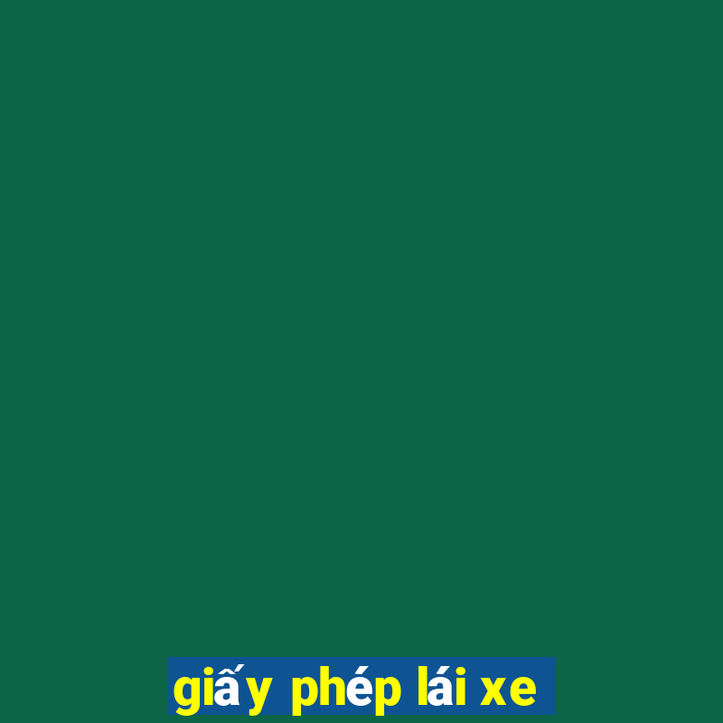 giấy phép lái xe