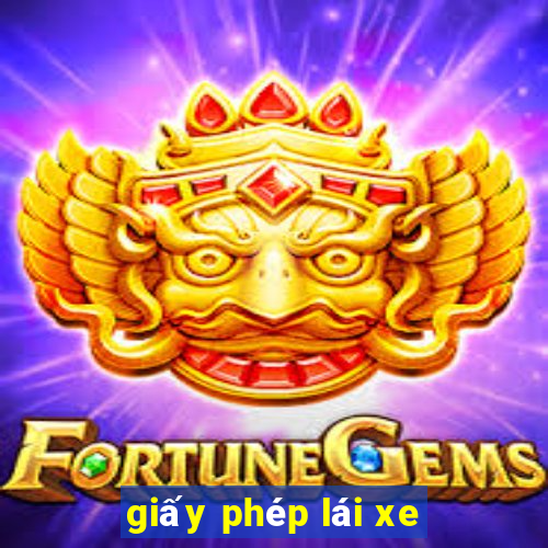 giấy phép lái xe