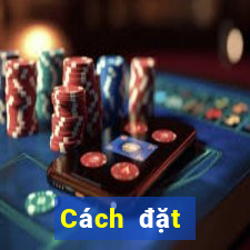 Cách đặt cược XSDTMB ngày 8