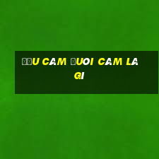 đầu câm đuôi câm là gì