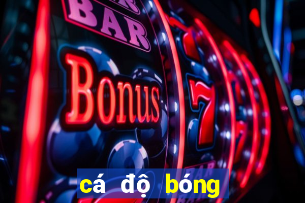 cá độ bóng đá dkbl