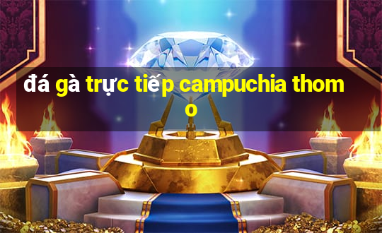 đá gà trực tiếp campuchia thomo