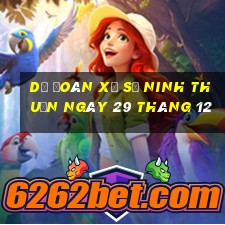 dự đoán xổ số ninh thuận ngày 29 tháng 12